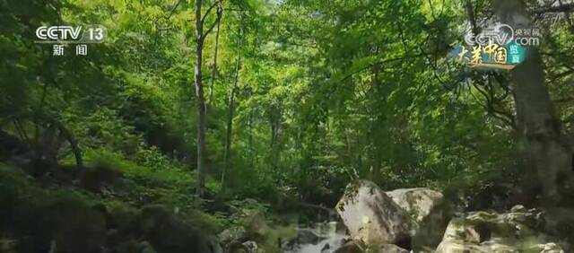 映日荷塘添秀色 大江南北山青水绿好风光