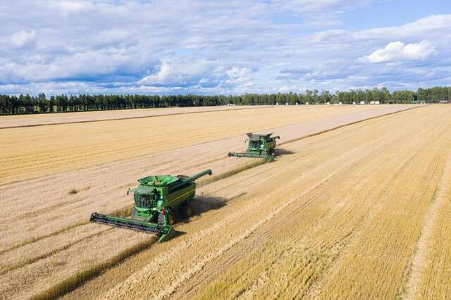 2022年8月10日，联合收割机在黑龙江北大荒集团红星农场有限公司田间收获小麦（无人机照片）。新华社记者谢剑飞摄
