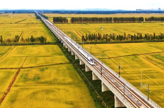 2021年9月22日，在辽宁省铁岭县腰堡镇，高铁列车在金色的稻田上飞驰而过（无人机照片）。新华社记者杨青摄