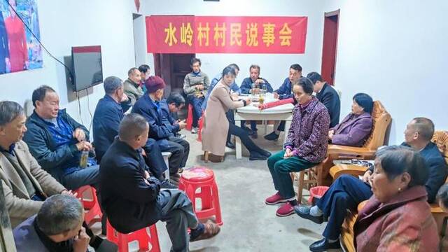 2022年11月，水岭村村两委及工作队在彭庄村民组开展“村民说事会”。受访对象提供