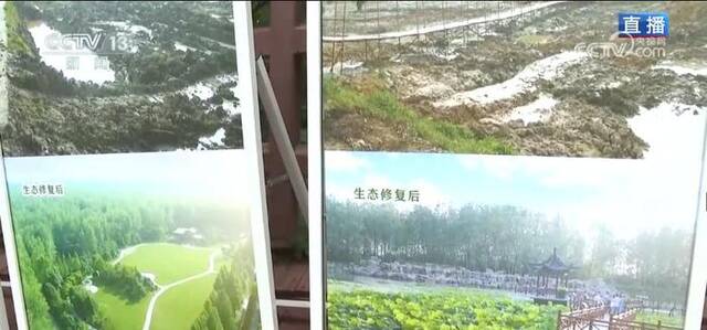 生态修复草木茂盛 打造宜居家园 共享生态红利