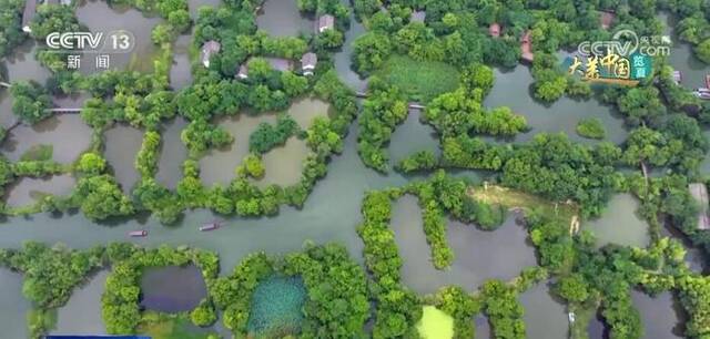 江山如此多娇 感受各地夏日美景的迷人魅力