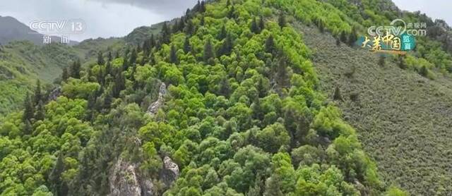 冰沟河畔夏意盈盈 绿水青山变成金山银山