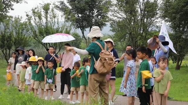 新华全媒+丨长江上游最大“江心绿岛”成“生态课堂”