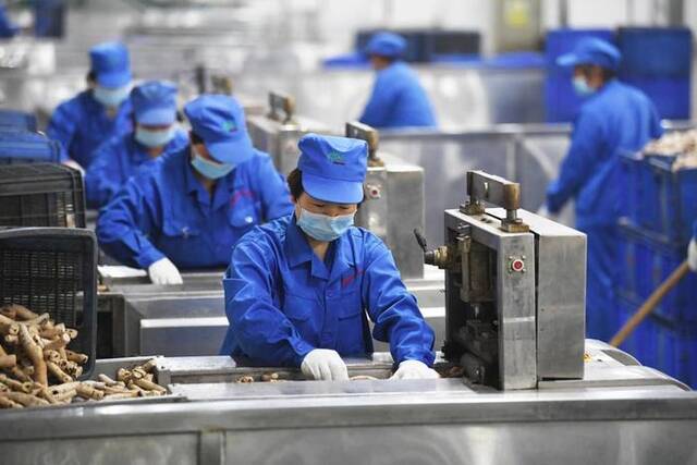 工作人员在安徽协和成药业饮片有限公司的生产车间切制中药饮片（2022年4月18日摄）。新华社发