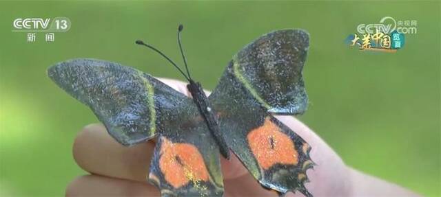 快看！这扇“世界生物之窗”跳动着勃勃生机