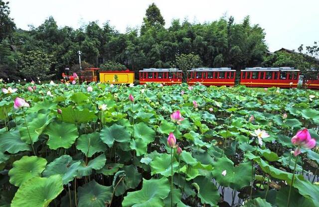 2019年7月21日，游客在浙江省安吉县鲁家村乘坐小火车游览。新华社记者谭进摄