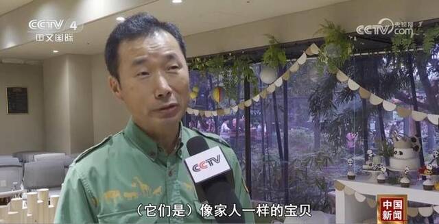 韩国“熊猫爷爷”感谢中国网友关注：让福宝继续茁壮成长