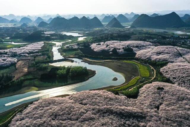 这是3月21日拍摄的贵州省贵安新区樱花园（无人机照片）。新华社记者杨文斌摄