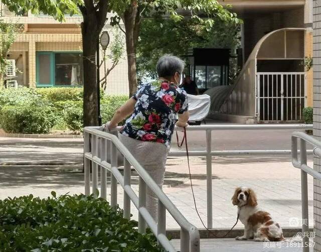 “四大火炉”甘拜下风，今年的北京：“热、真热、非常热！”