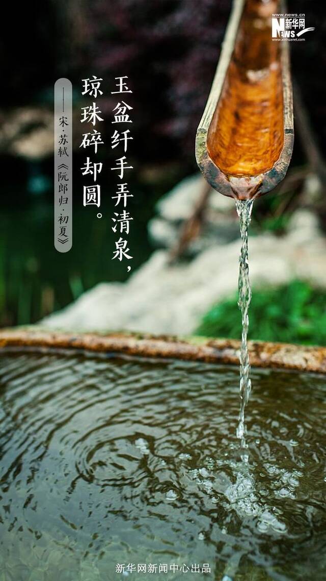 读诗消暑！这些诗词清凉幽静、美到心醉