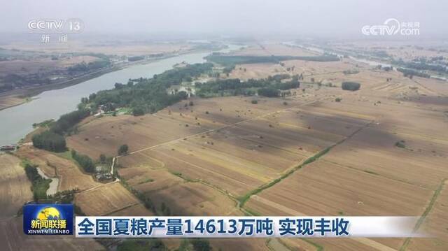 全国夏粮产量14613万吨 实现丰收