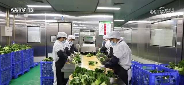 “农田直达餐桌”！冷藏保鲜设施县级覆盖率达70%以上