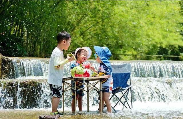 镜头丨缤纷夏日