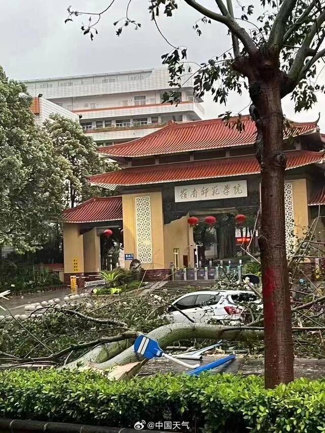 今年首个登陆台风！台风泰利巅峰期登陆广东湛江 或将二次登陆