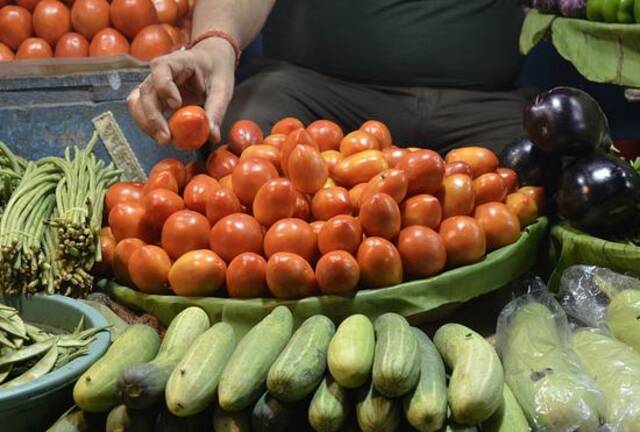 印度一名蔬菜摊贩在店里摆放西红柿。
