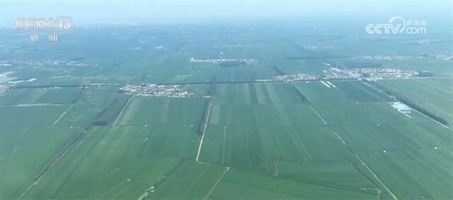 美丽中国新画卷｜黑土地保护成效显著 实现粮食稳产增产