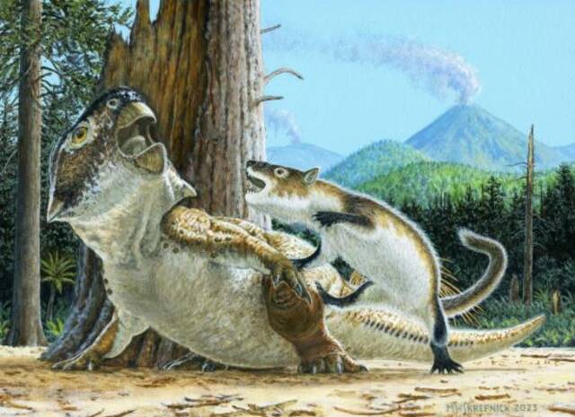 艺术复原图：1.25亿年前，强壮爬兽捕食鹦鹉嘴龙。Michael Skrepnick图