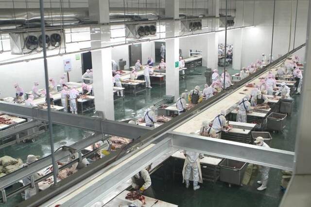 重庆恒都农业集团有限公司精深加工车间，工人们正在分割牛肉。（严周摄）