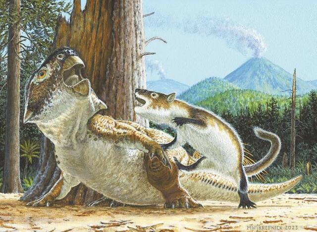 首次发现！古哺乳动物能捕食恐龙，白垩纪恐龙“霸主地位”受挑战