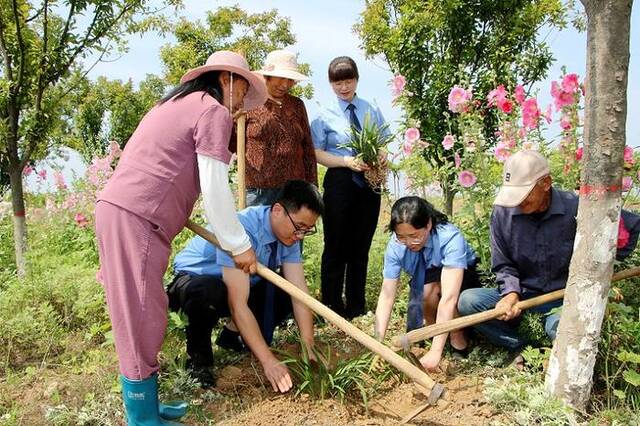 河南南召:推动建立涉案野生植物养护机制