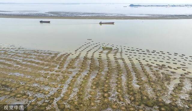 2023年7月20日，江西九江，鄱阳湖都昌印山附近水域大面积湖床裸露。视觉中国图