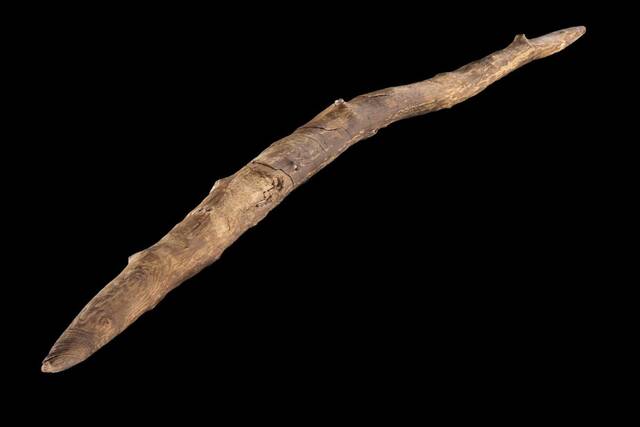 研究发现早期人类是武器木工专家