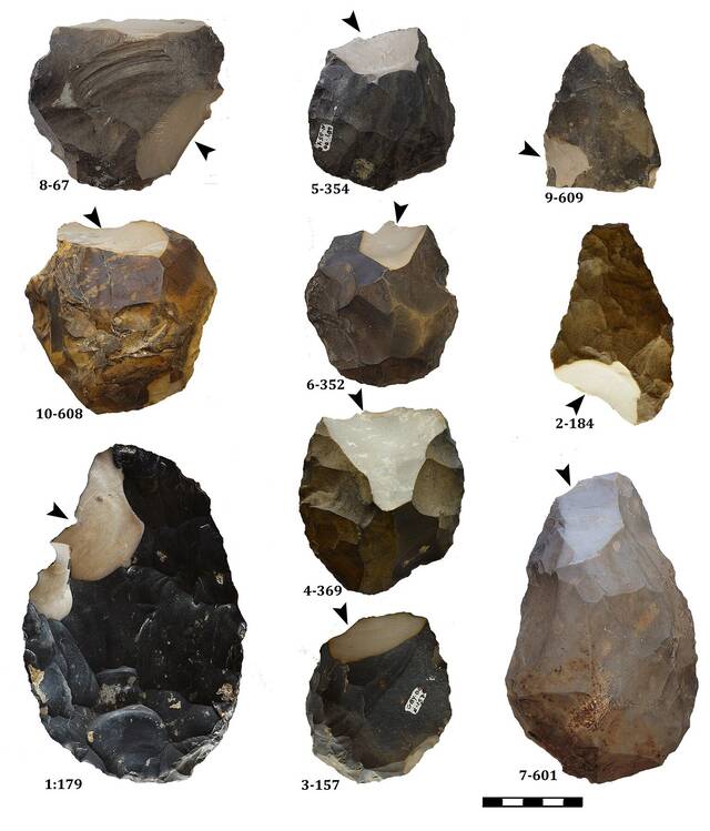 胡拉山谷的早期人类在数十万年前投资于原材料的系统采购