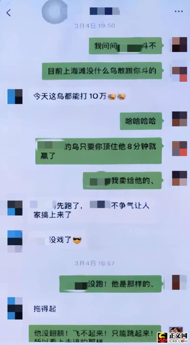 王某促成斗鸟局。