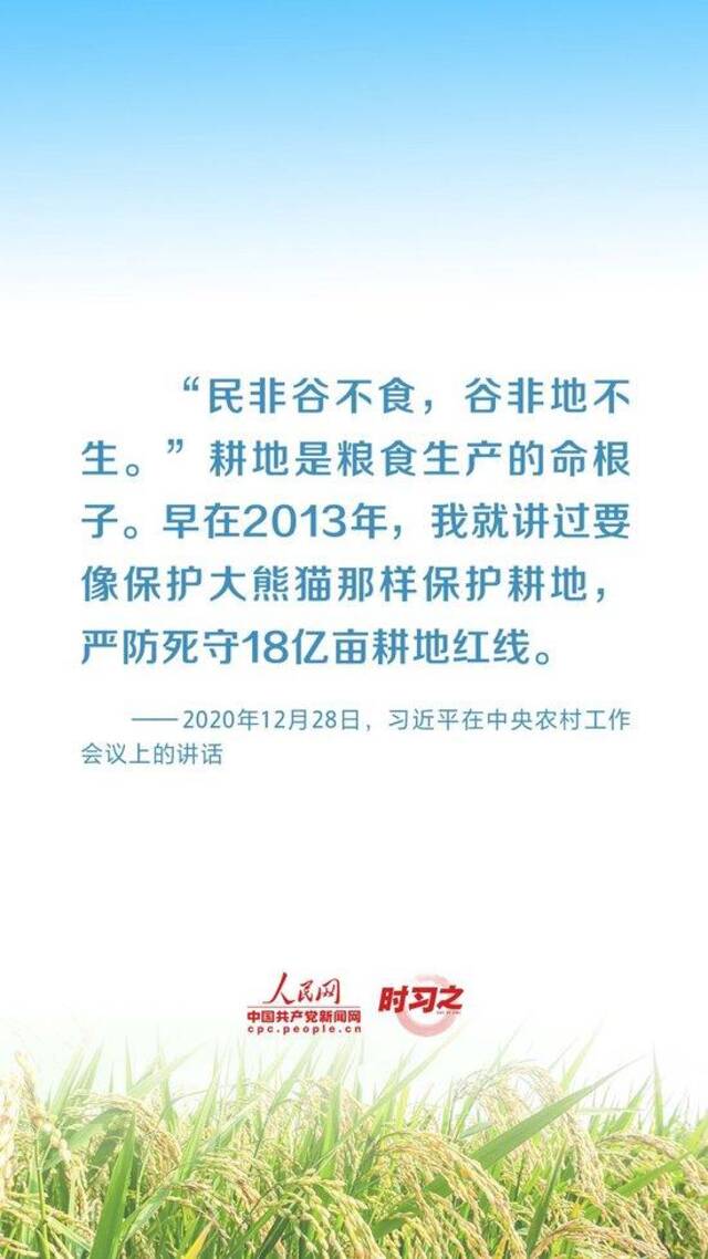 全方位夯实粮食安全根基 习近平强调切实加强耕地保护