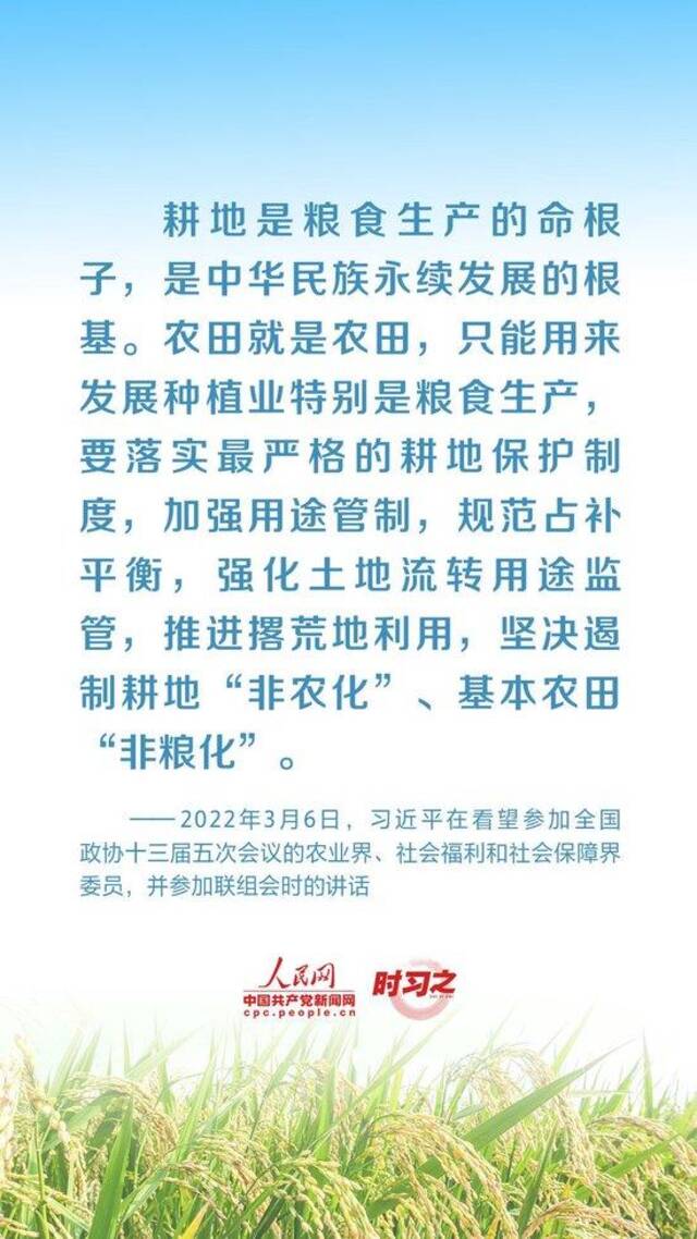 全方位夯实粮食安全根基 习近平强调切实加强耕地保护