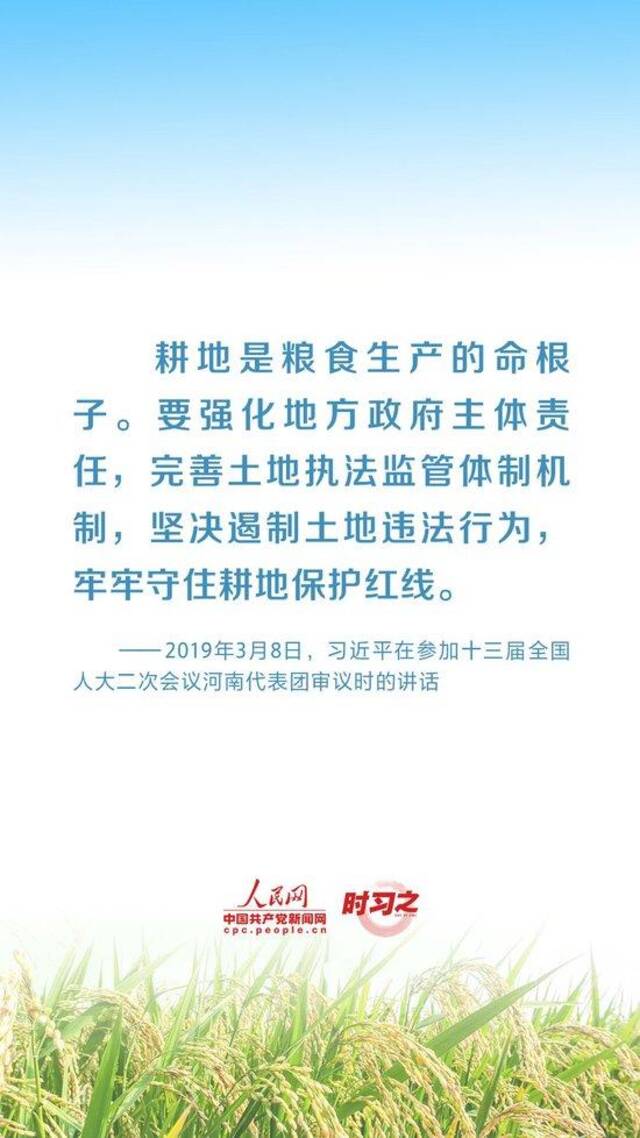 全方位夯实粮食安全根基 习近平强调切实加强耕地保护