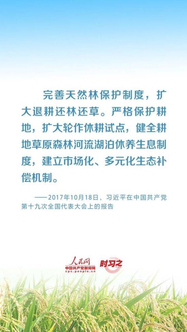 全方位夯实粮食安全根基 习近平强调切实加强耕地保护