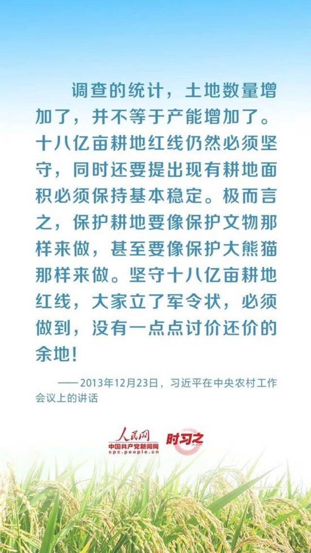 全方位夯实粮食安全根基 习近平强调切实加强耕地保护