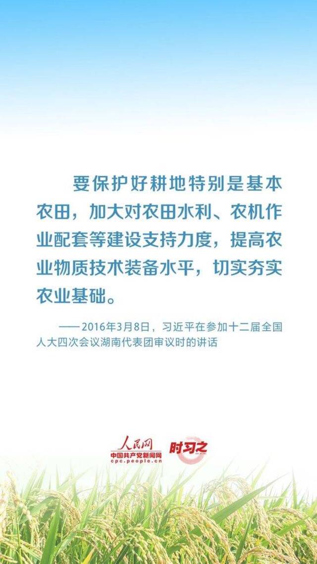 全方位夯实粮食安全根基 习近平强调切实加强耕地保护