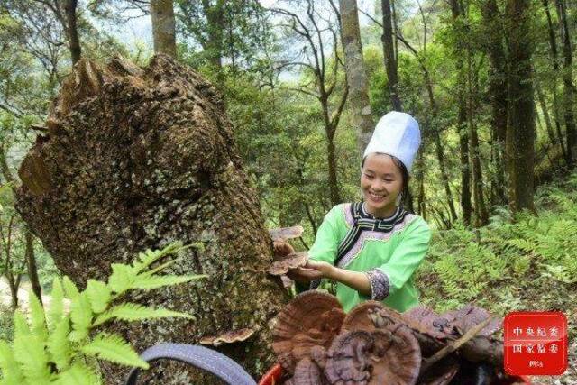 镜头  大暑已至 长夏未央