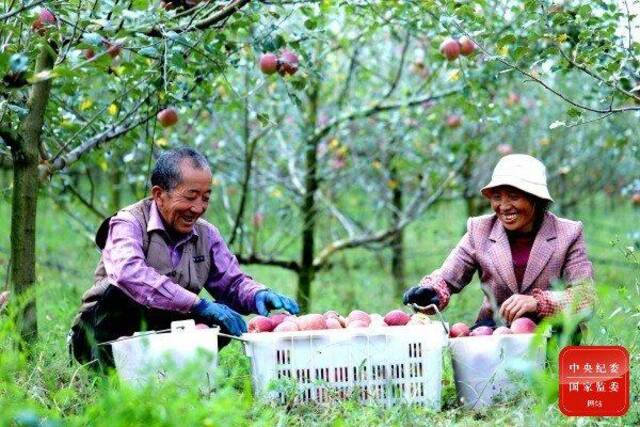 镜头  大暑已至 长夏未央