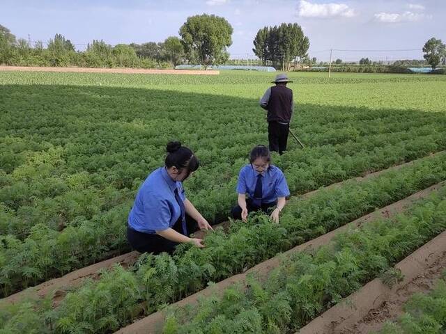 陕西靖边:严惩涉农领域刑事犯罪同时制发检察建议堵塞行政监管漏洞