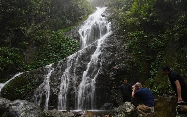 2022年5月3日，游客在海南热带雨林国家公园五指山片区拍照留念。新华社记者杨冠宇摄