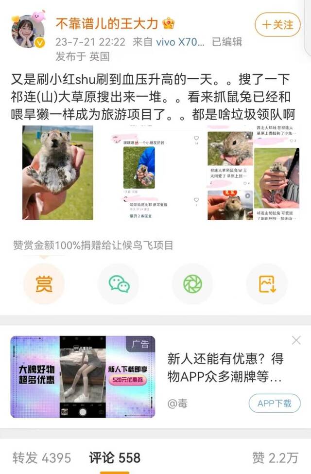 有博主指出，游客抓鼠兔的行为不妥。