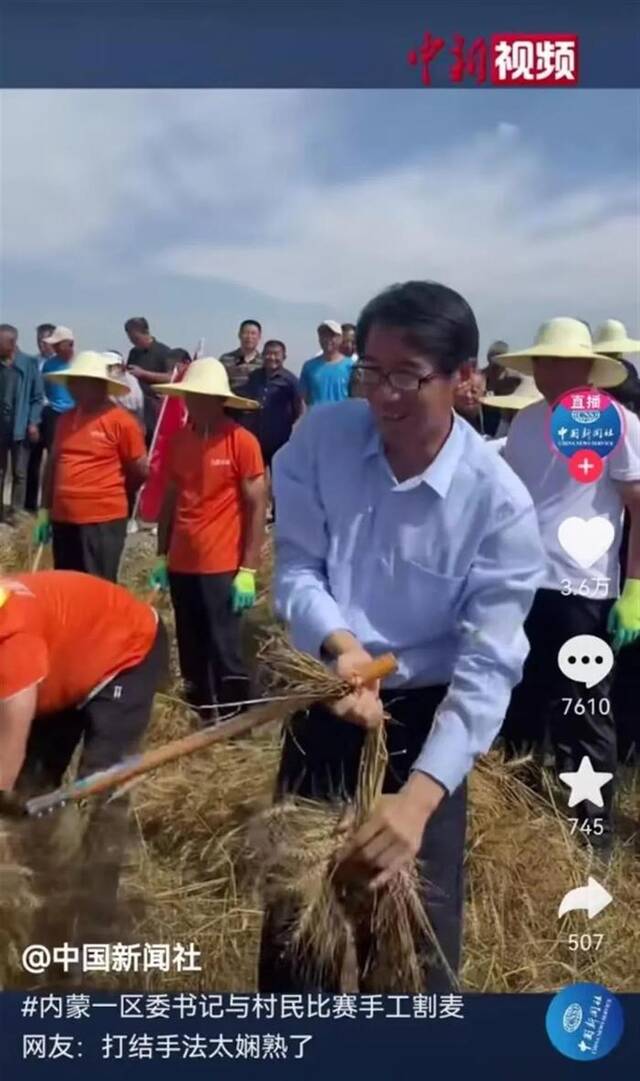 区委书记与村民比赛手工割麦子爆红，网友称赞：手法太娴熟了，接地气！