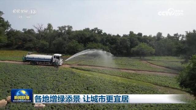 各地增绿添景 让城市更宜居