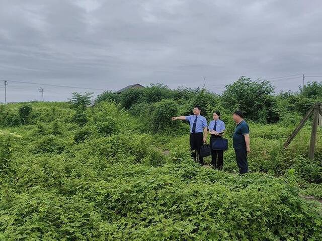 重庆市潼南区检察院检察官到丰产村进行回访,查看案涉土地使用现状。