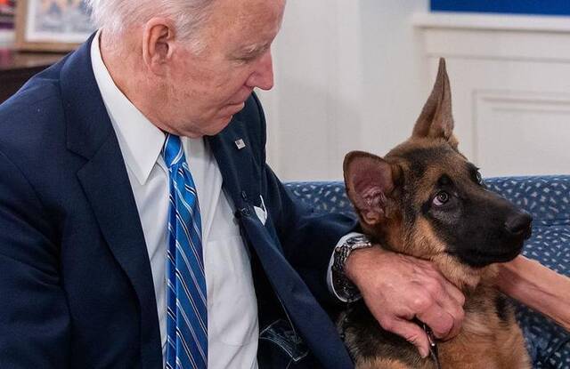 外媒：拜登的狗4个月内咬伤7名特勤人员，白宫解释因为“压力大”