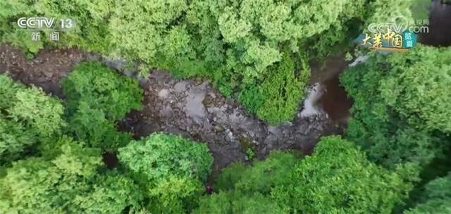 盛夏时节 跟随航拍镜头领略祖国壮美风光、生机活力