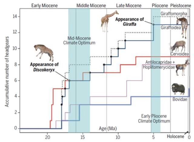 长颈鹿脖子为什么这么长？中国科学家最新《科学》揭晓全新答案