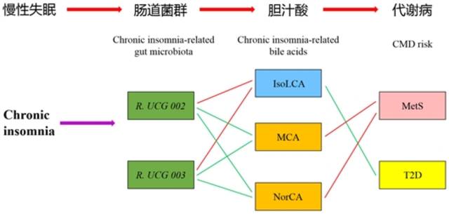 研究示意图西湖大学供图