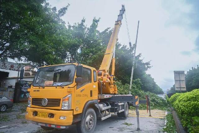 7月28日，台风过后，在福建省泉州晋江市区，抢修车辆在清理被折断的电线杆和树木。新华社记者周义摄