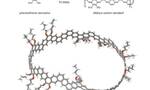 日本研究团队首次合成“莫比乌斯环”形状碳分子