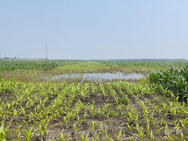 辽宁铁岭大片黑土地遭采煤沉降变洼地，当地农民：农田变4米深水塘